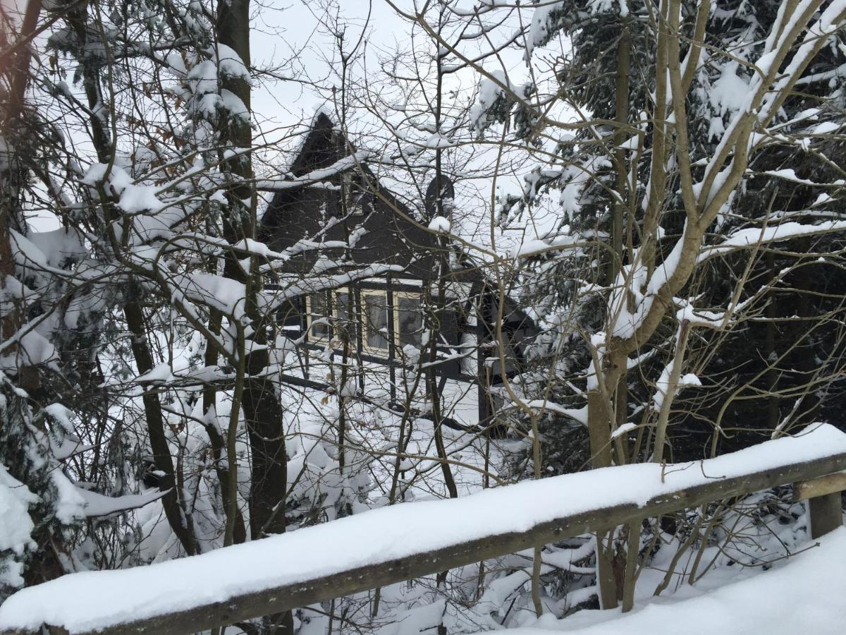 Ferienhaus Sauerlandtraum Winterberg Exterior photo